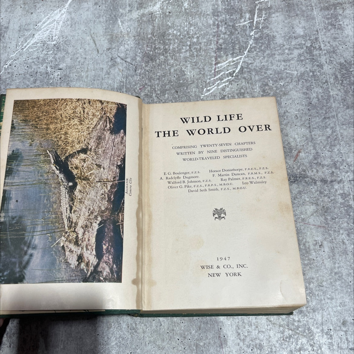 wild life the world over book, by e. g. boulenger, a. radclyffe dugmore, horace donisthorpe, walford b. johnson, f. image 2