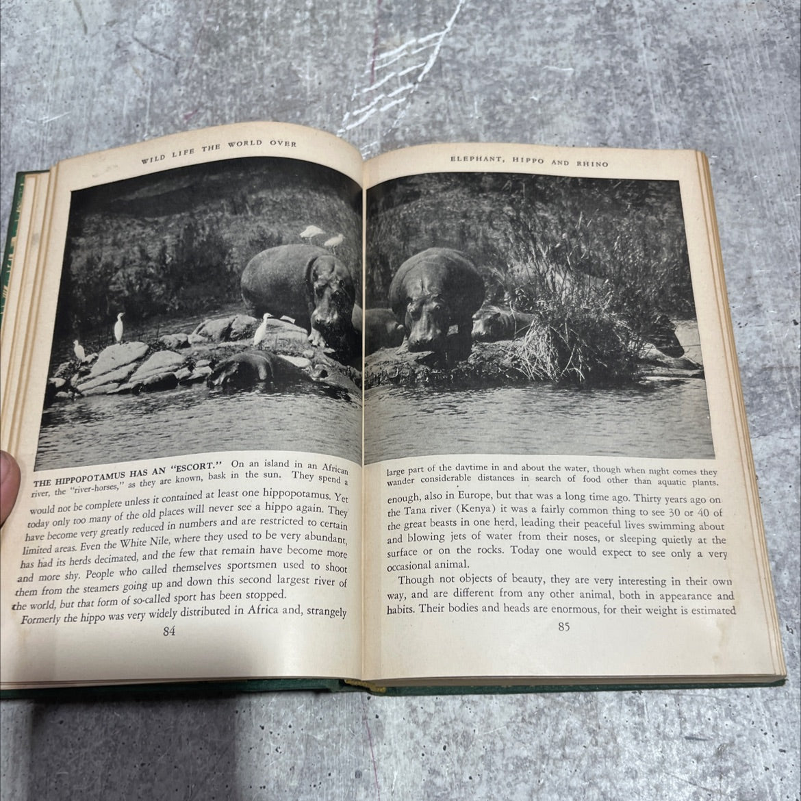 wild life the world over book, by e. g. boulenger, a. radclyffe dugmore, horace donisthorpe, walford b. johnson, f. image 4