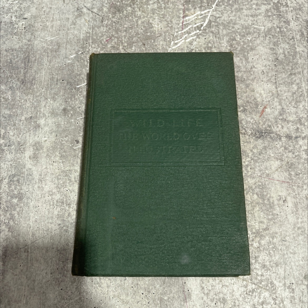 wild life the world over book, by e. g. boulenger, a. radclyffe dugmore, horace donisthorpe, walford b. johnson, f. image 1