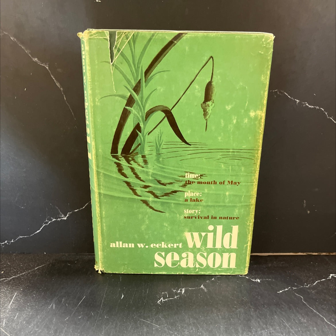 wild season book, by allan w. eckert, 1967 Hardcover image 1