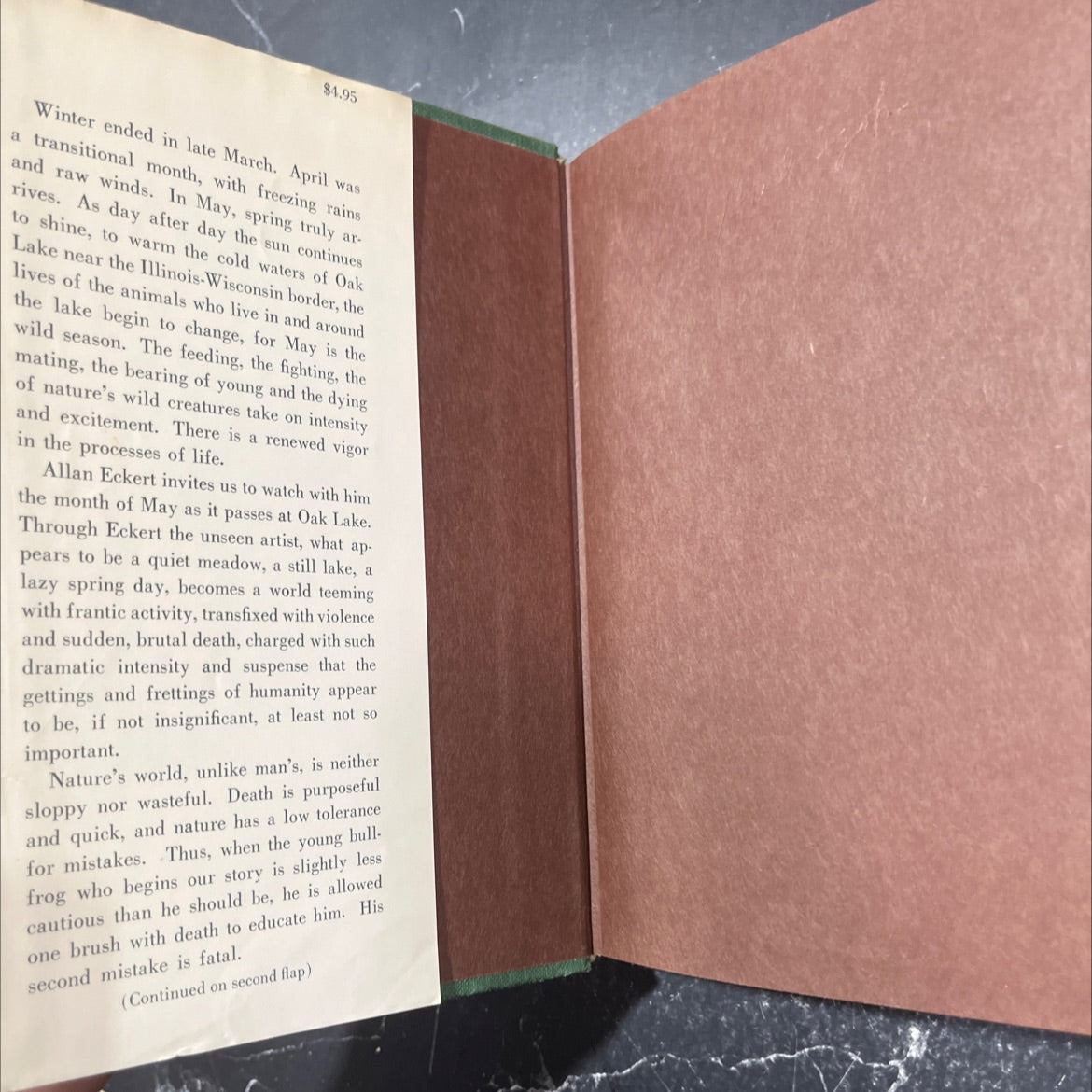 wild season book, by allan w. eckert, 1967 Hardcover image 4