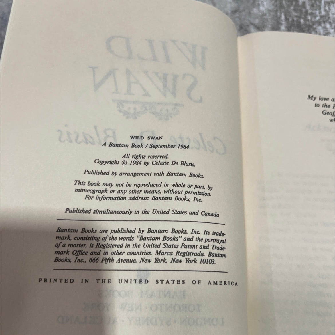 wild swan book, by Celeste De Blasis, 2010 Hardcover image 3