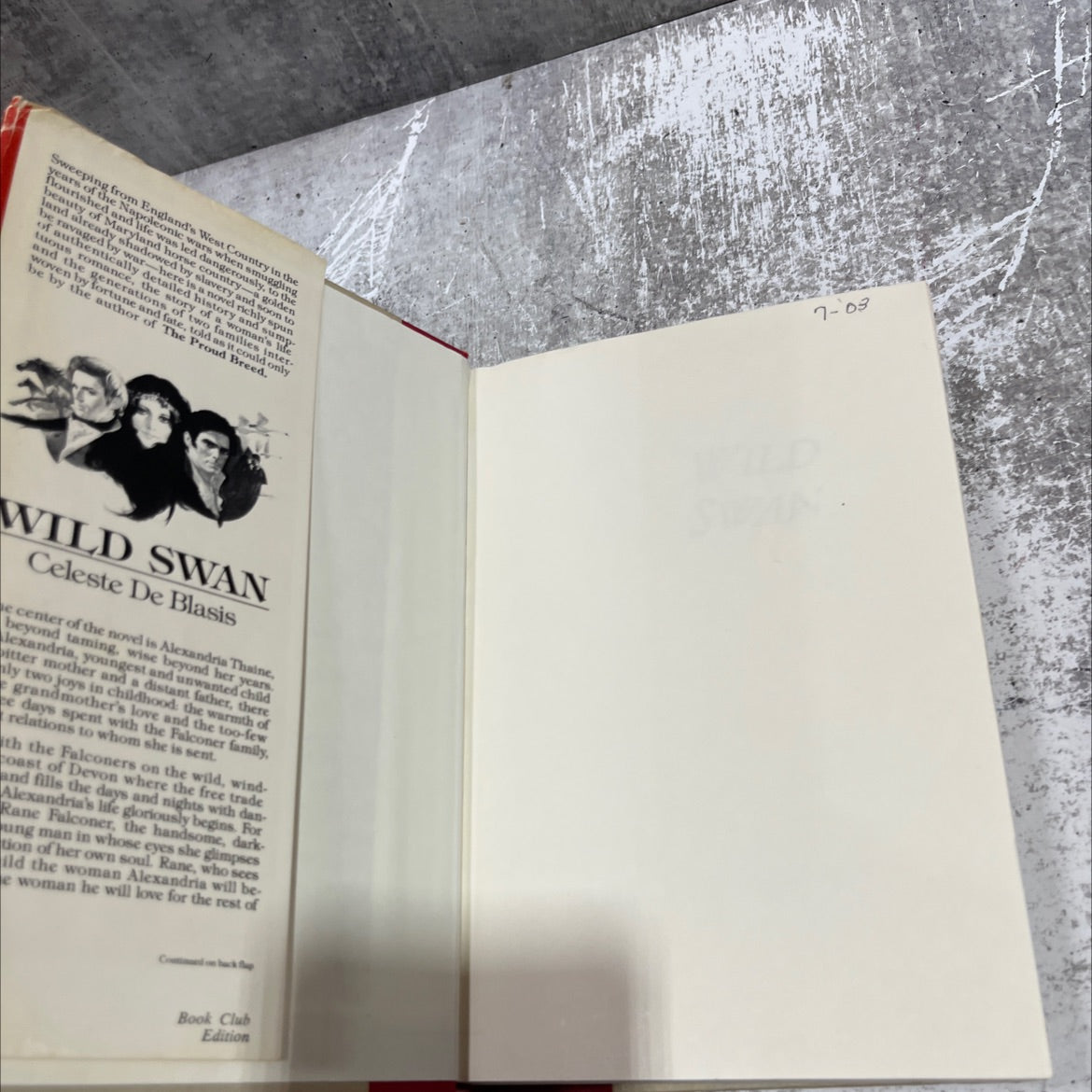 wild swan book, by Celeste De Blasis, 2010 Hardcover image 4