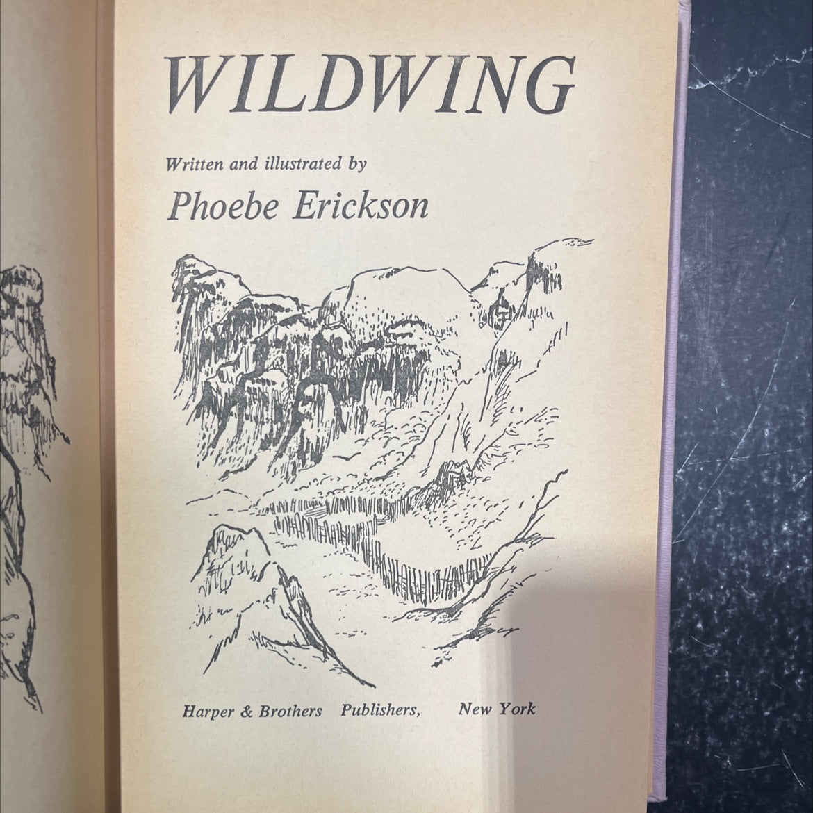 wildwing book, by Phoebe Erickson, 1959 Hardcover image 2