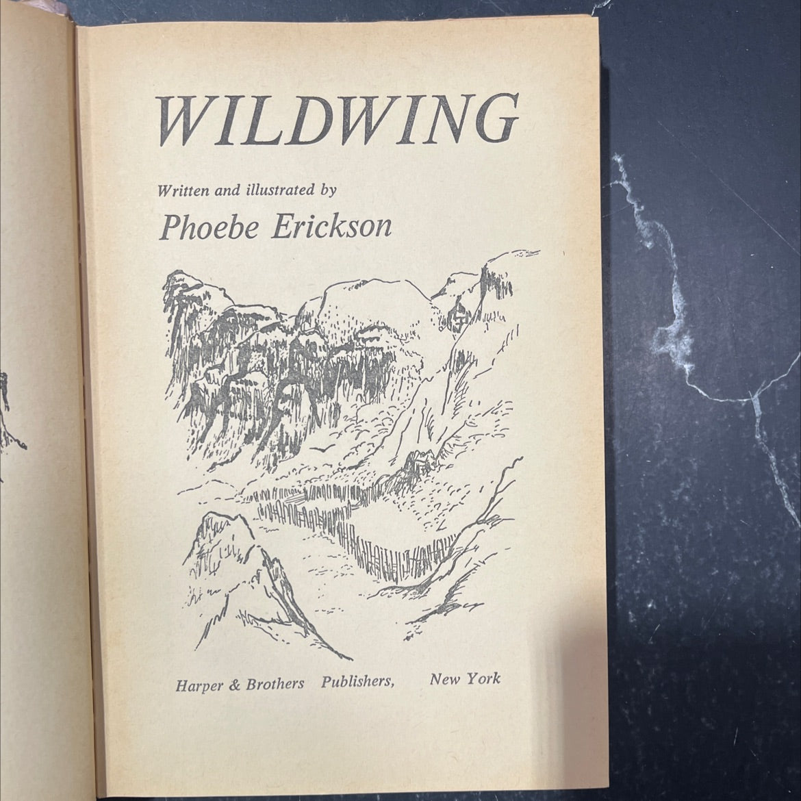 wildwing book, by Phoebe Erickson, 1959 Hardcover image 2