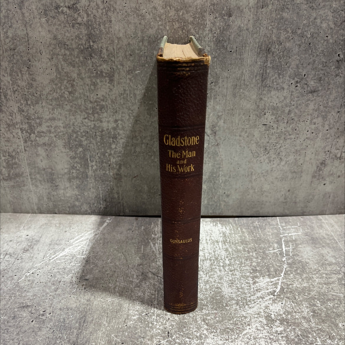 william ewart gladstone. a biographical study book, by frank wakeley gunsaulus, 1898 Leather image 4