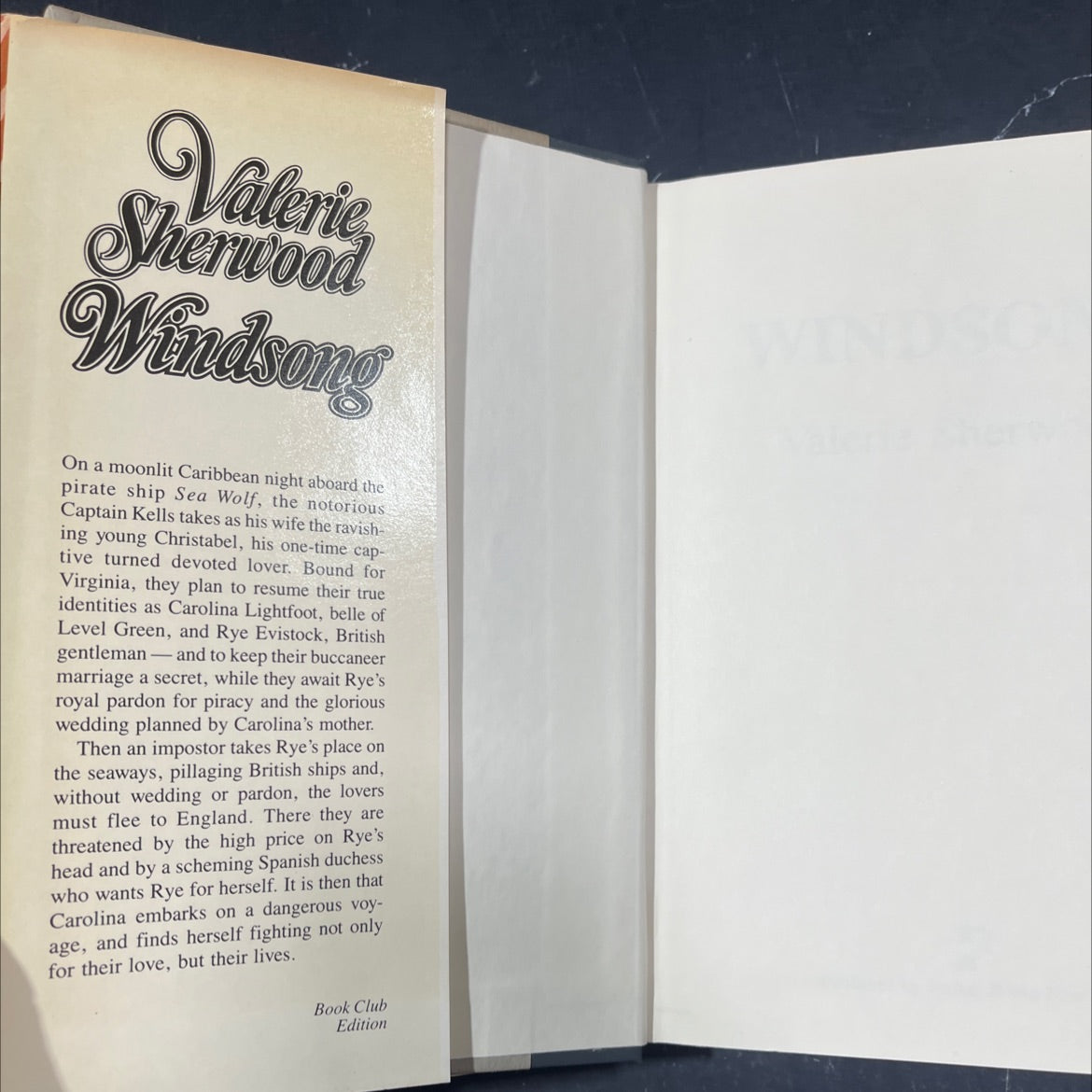 windsong book, by Valerie Sherwood, 2009 Hardcover image 4