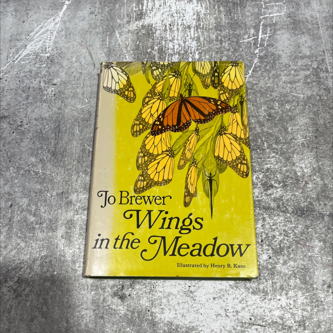 wings in the meadow book, by jo brewer, 1967 Hardcover image 1