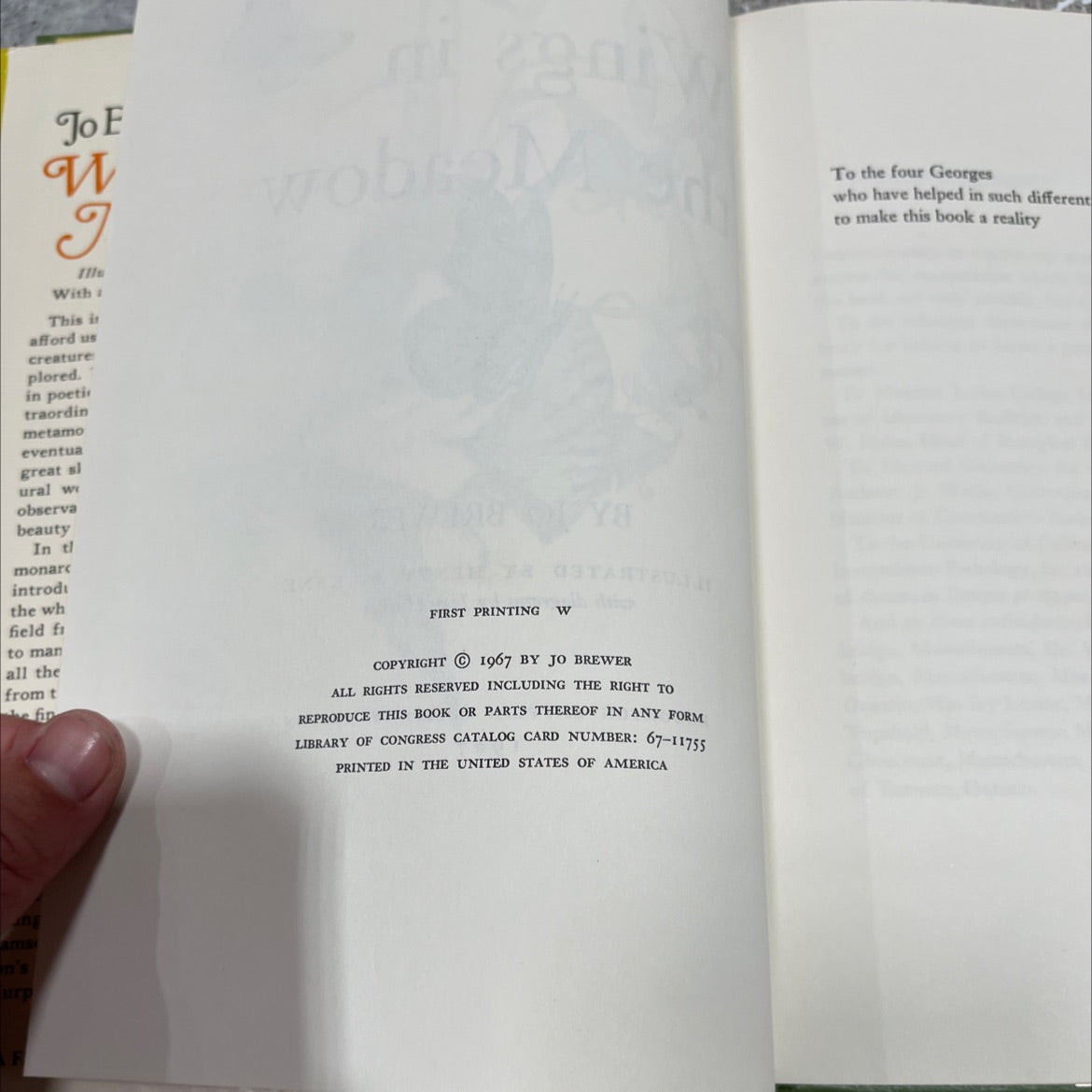 wings in the meadow book, by jo brewer, 1967 Hardcover image 3