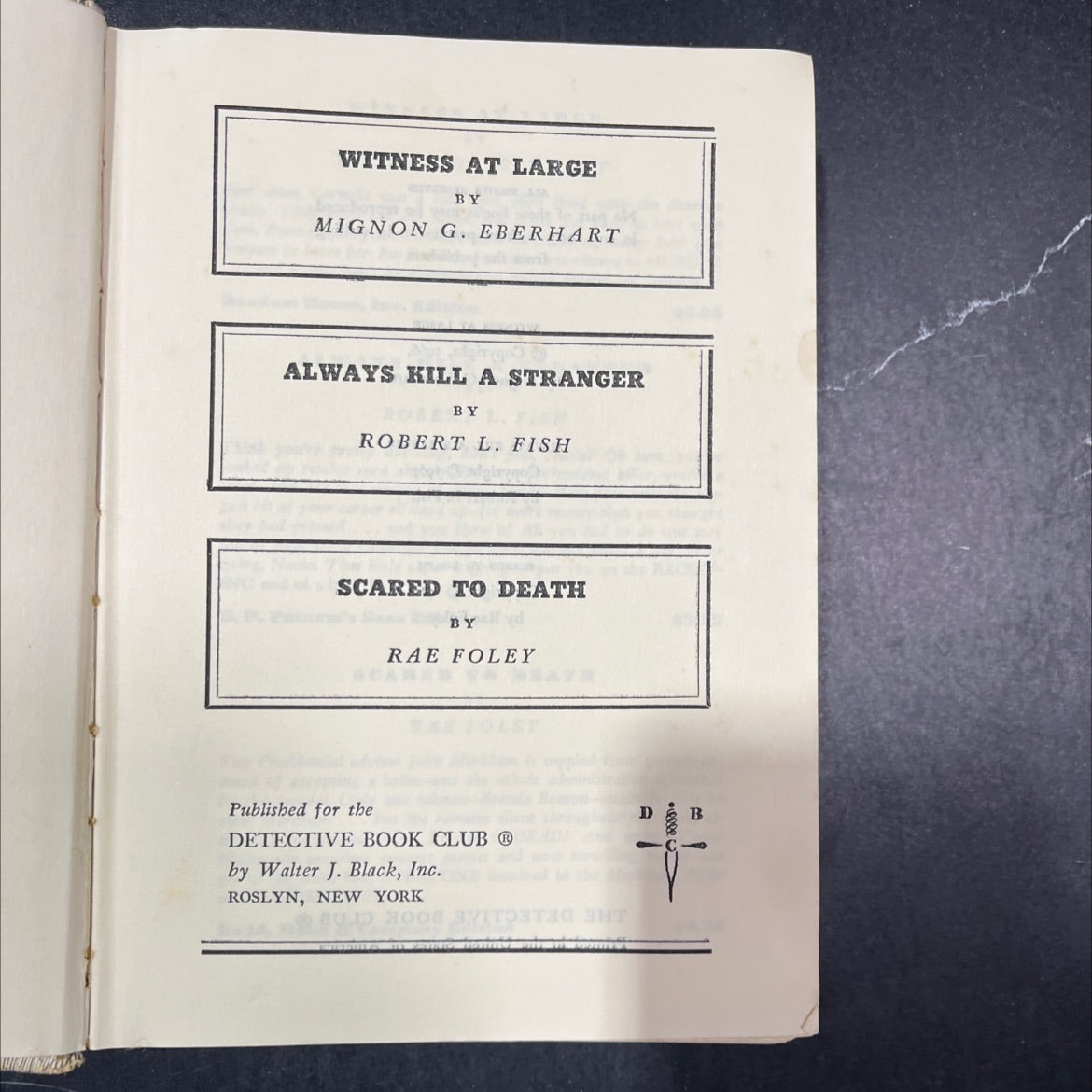 witness at large book, by mignon g. eberhart, 1966 Hardcover image 2