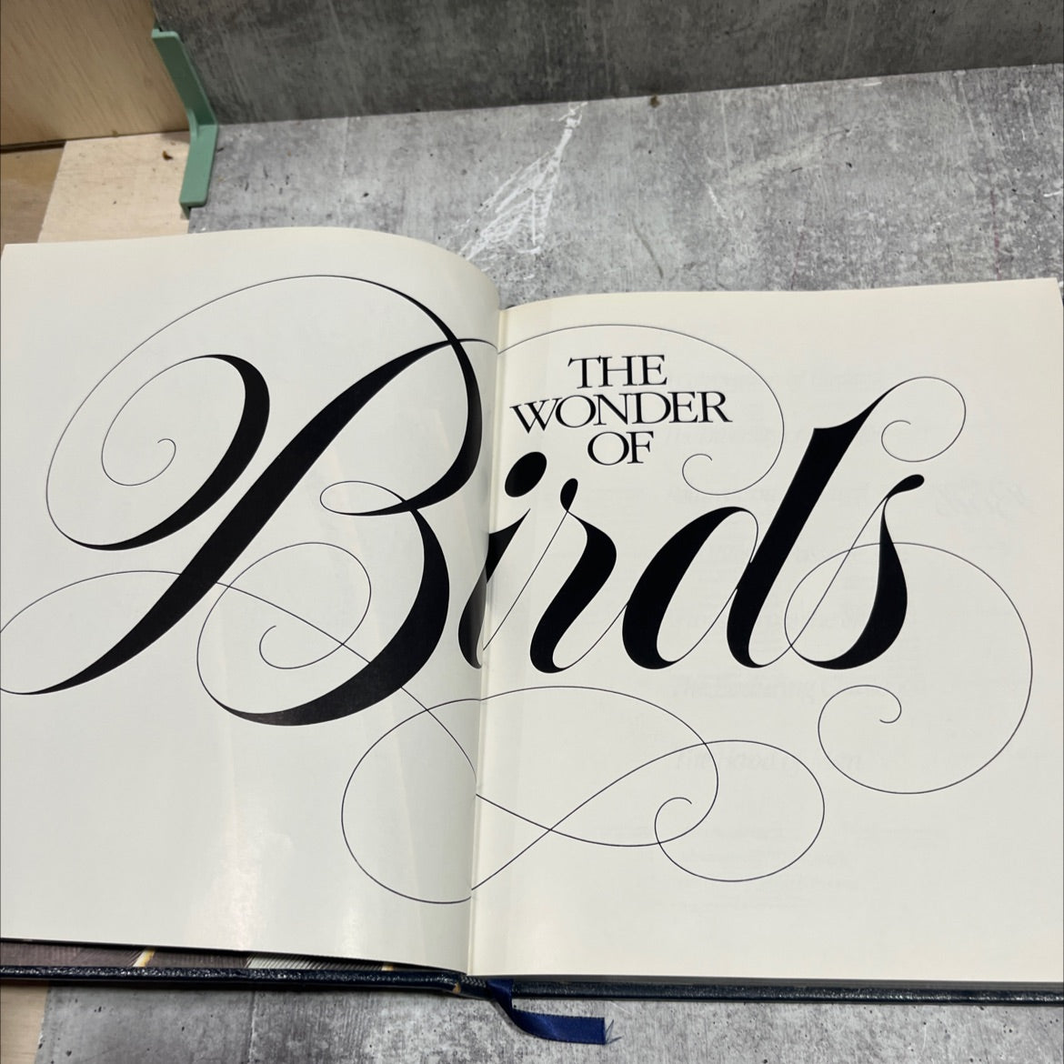 wonder birds book, by unknown, 1983 Hardcover image 2
