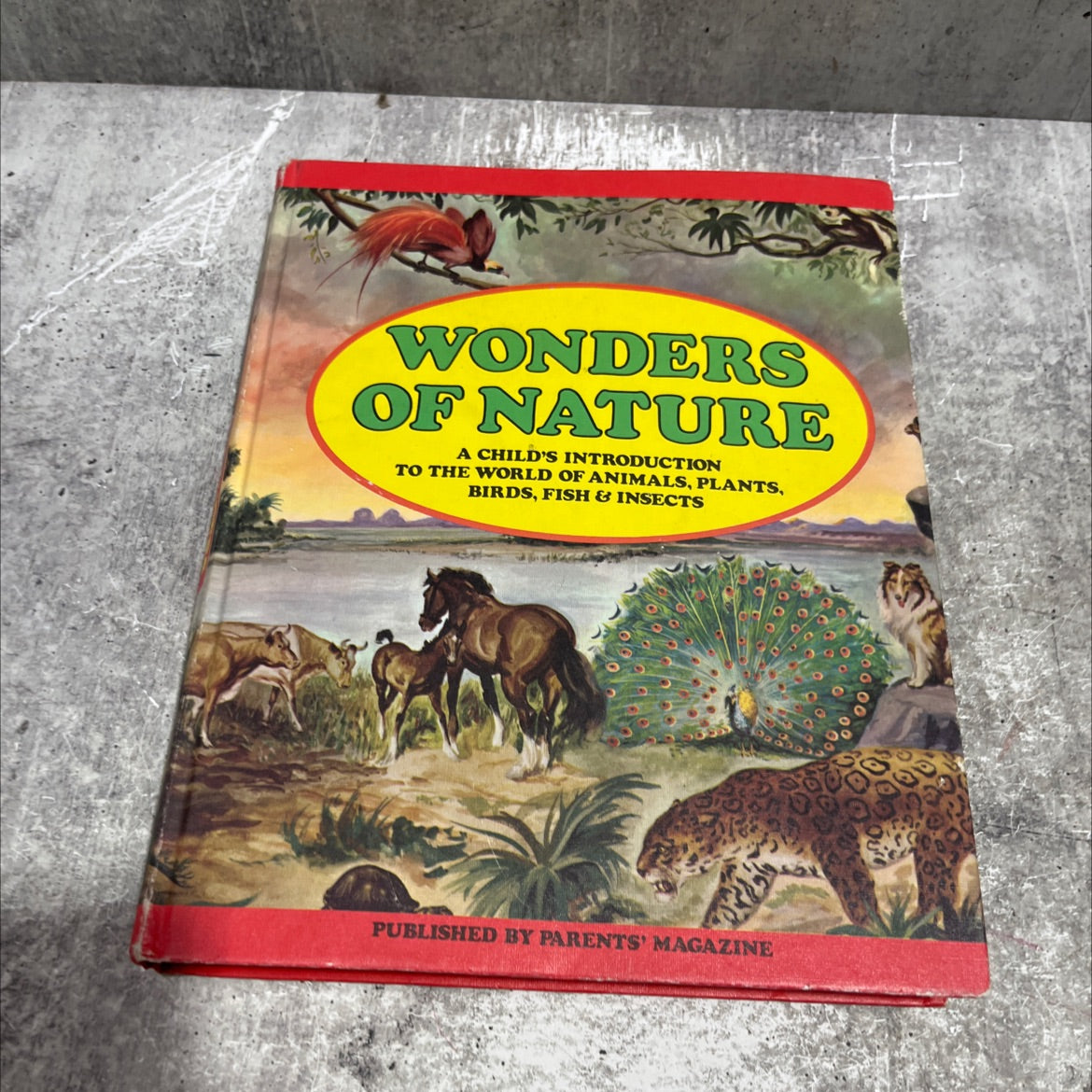 wonders of nature a child's introduction to the world of animals, plants, birds, fish & insects book, by unknown, 1974 image 1