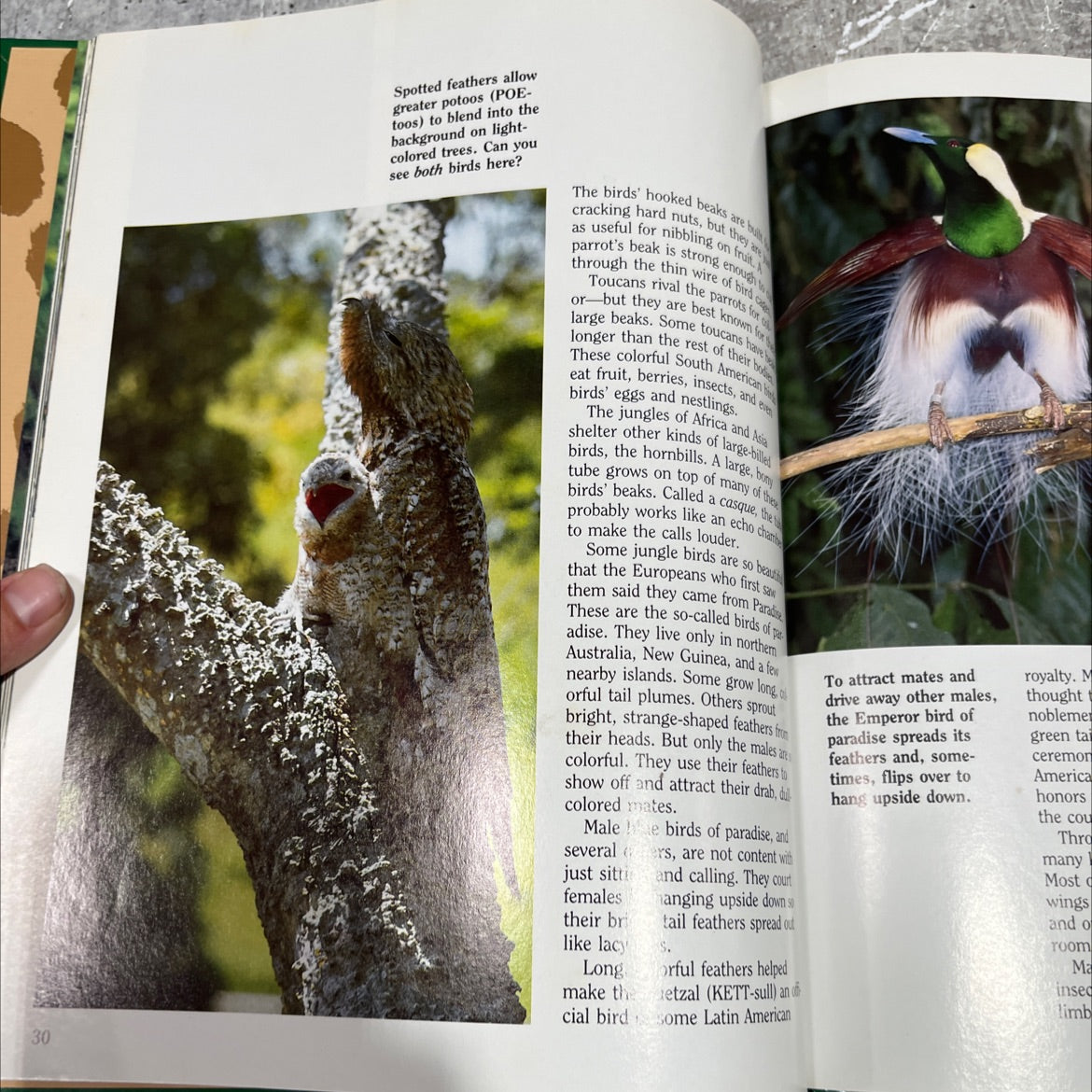 wonders of the jungle book, by national wildlife federation, 1986 Hardcover image 4