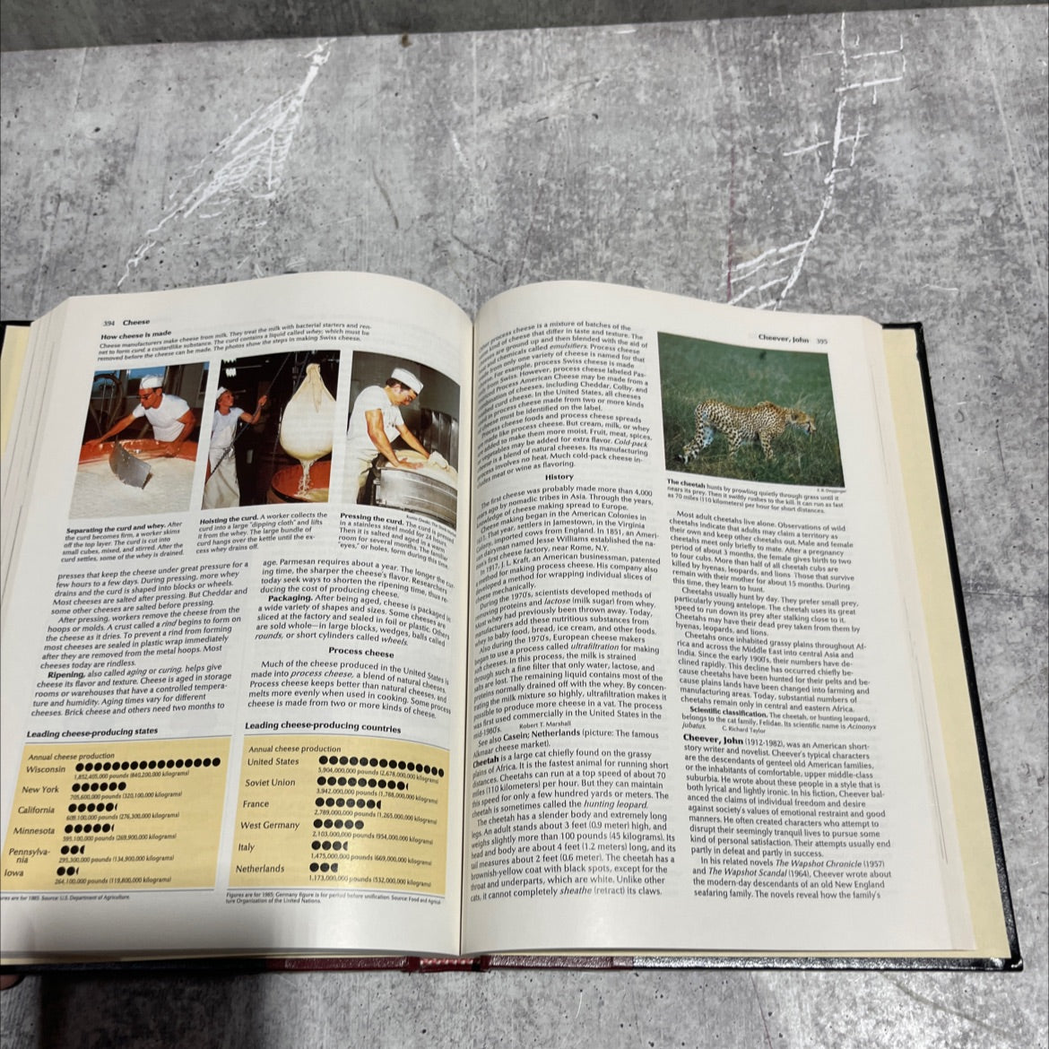 world book encyclopedia volume 3 book, by unknown, 1992 Hardcover image 4