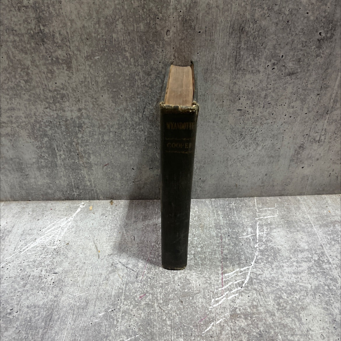 wyandotte or the hutted knoll book, by j. fenimore cooper, 1970 Hardcover image 3