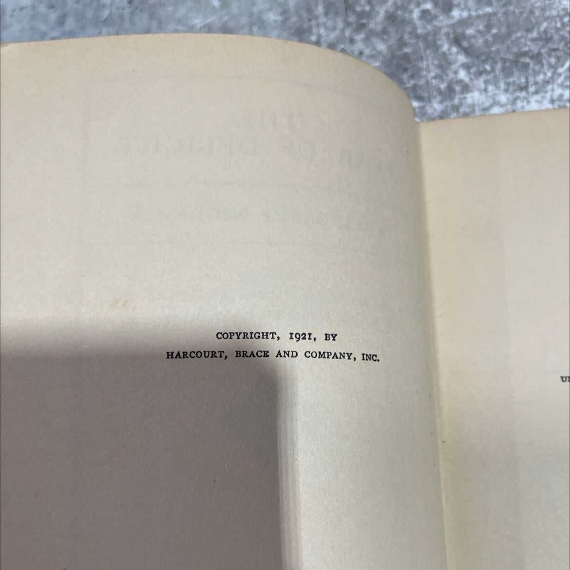 year the of delight book, by margaret widdemer, 1921 Hardcover image 3