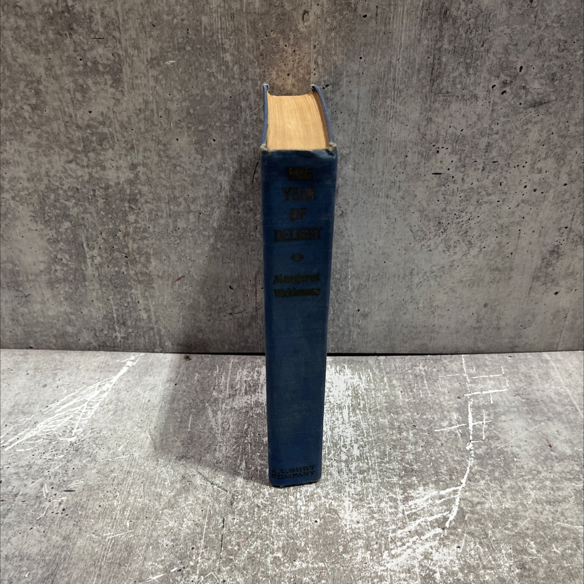 year the of delight book, by margaret widdemer, 1921 Hardcover image 4