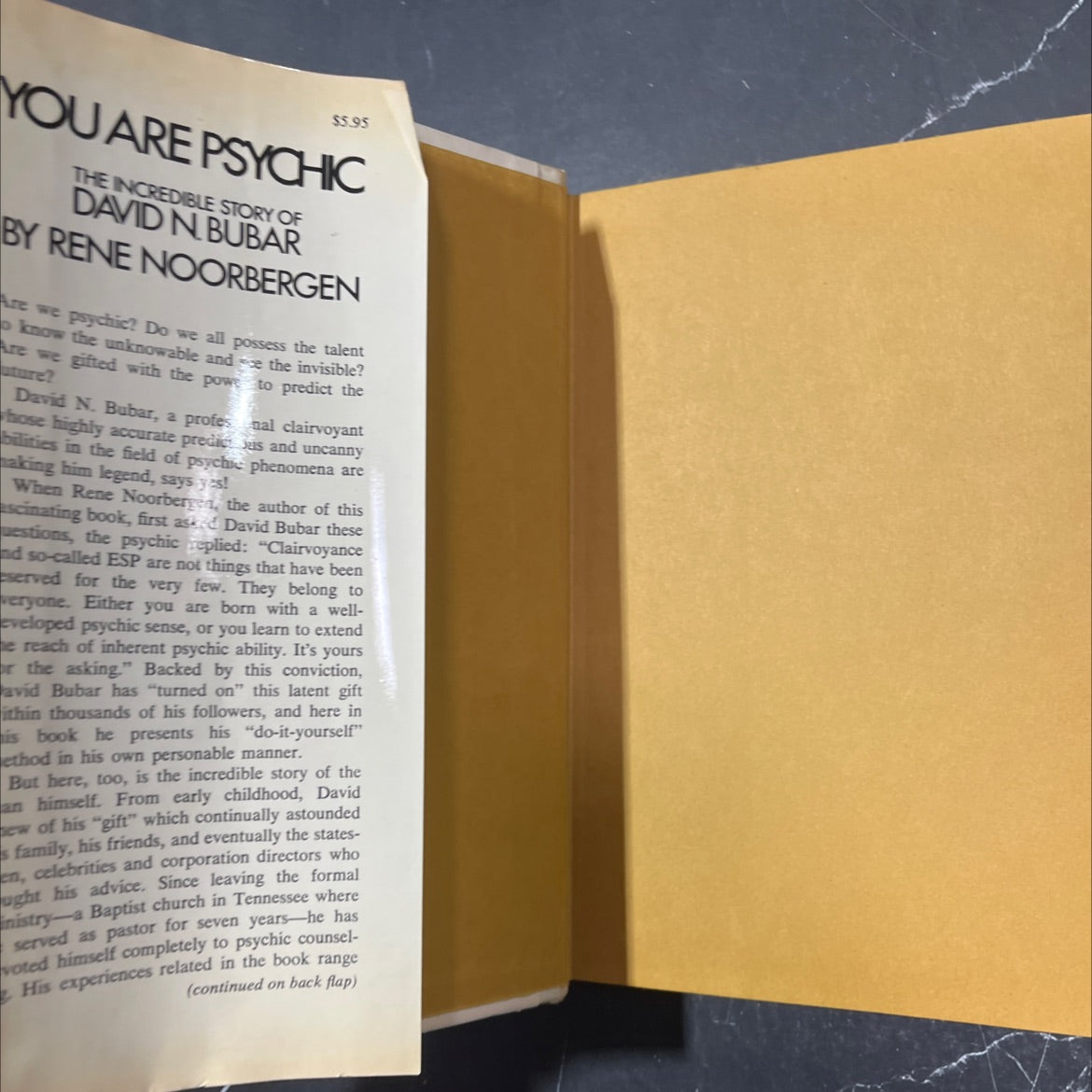 you are psychic the incredible story of david n. bubar book, by rene noorbergen, 1971 Hardcover image 4