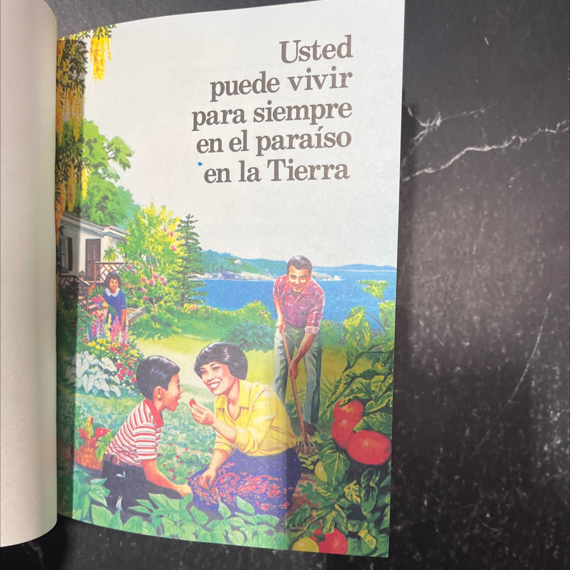 you can live forever in paradise on earth book, by watchtower bible and tract society of new york, inc., 1982 Hardcover image 2