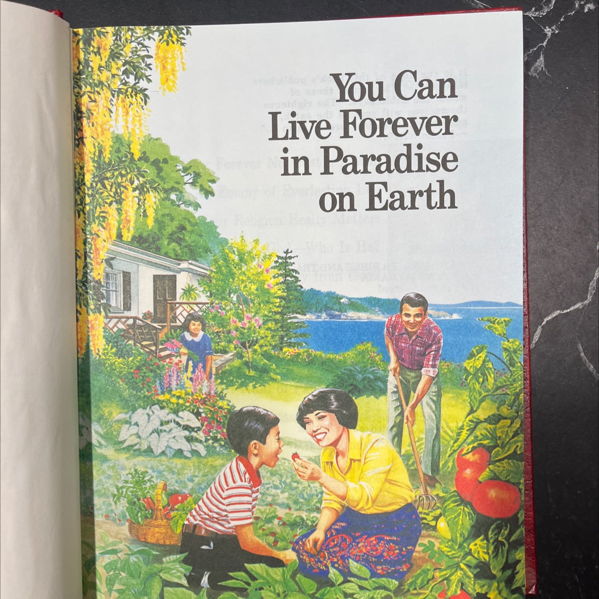 you can live forever in paradise on earth book, by watch tower bible and tract society of pennsylvania, 1989 Hardcover image 2