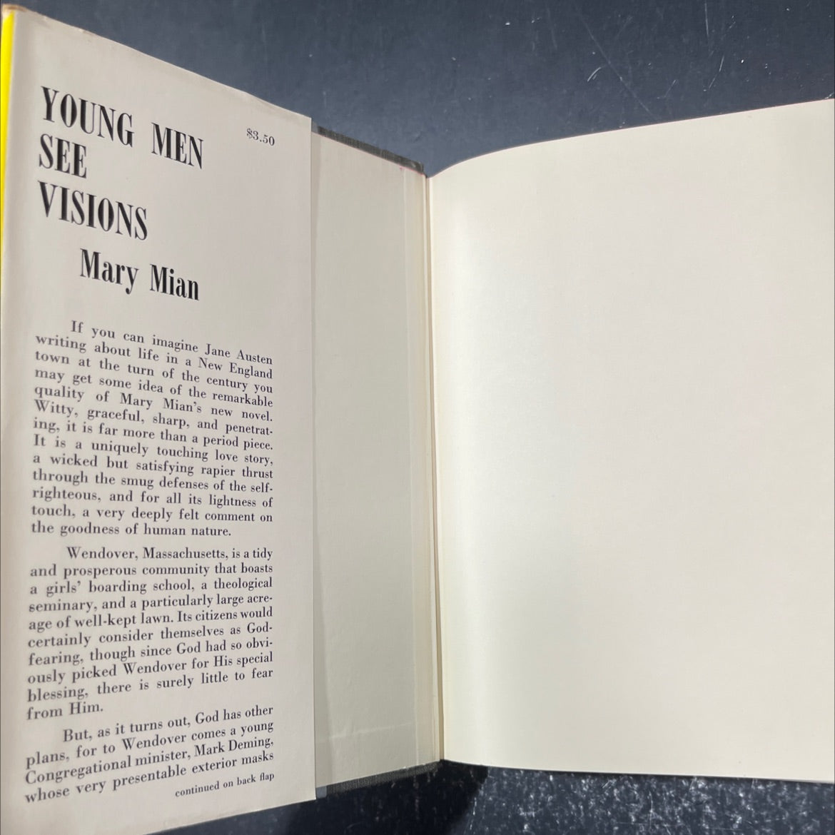 young men see visions book, by mary mian, 1958 Hardcover image 4