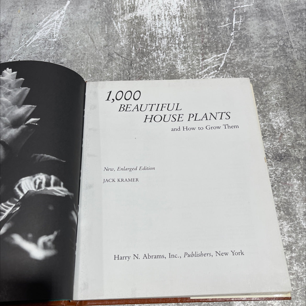 1,000 beautiful house plants and how to grow them book, by Jack Kramer, 1982 Hardcover image 2