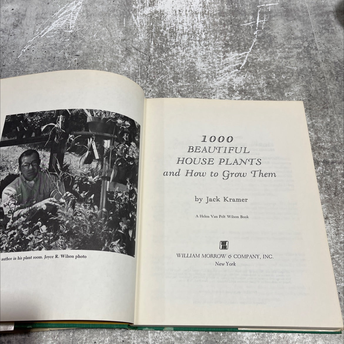1000 beautiful house plants and how to grow them book, by Jack Kramer, 1969 Hardcover image 2