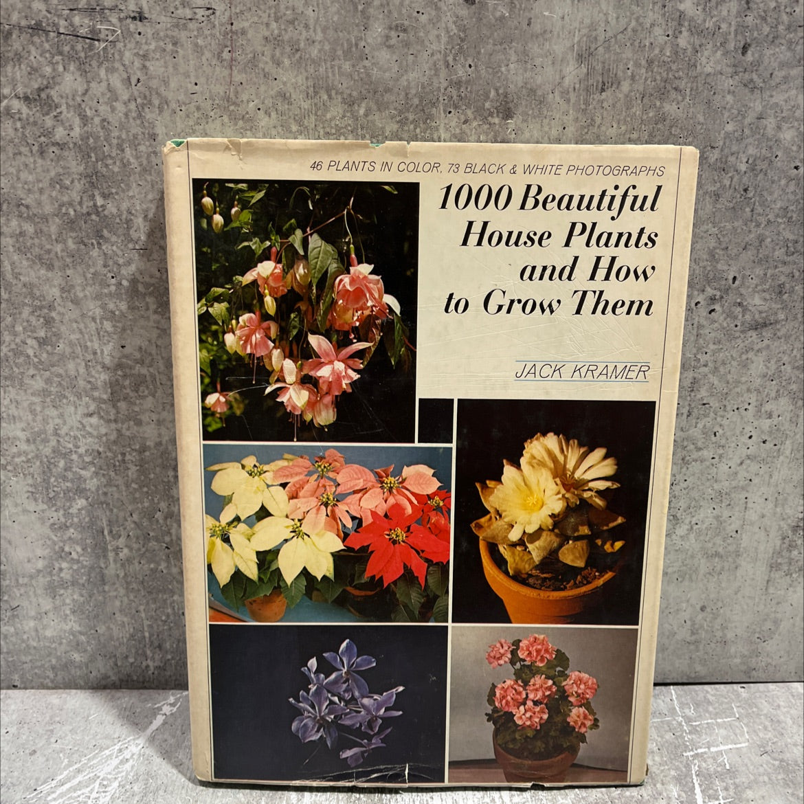 1000 beautiful house plants and how to grow them book, by Jack Kramer, 1969 Hardcover image 1