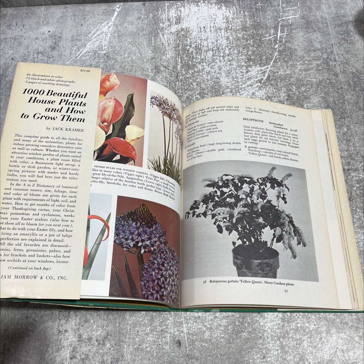 1000 beautiful house plants and how to grow them book, by Jack Kramer, 1969 Hardcover image 4
