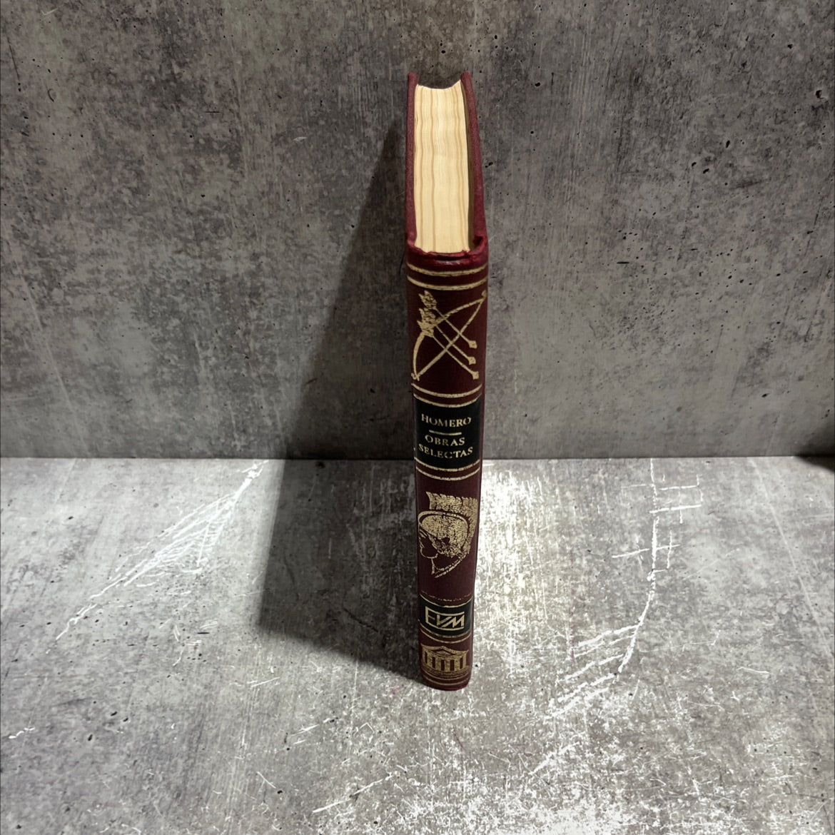 90 selected works of homer book, by unknown, 1976 Hardcover image 4