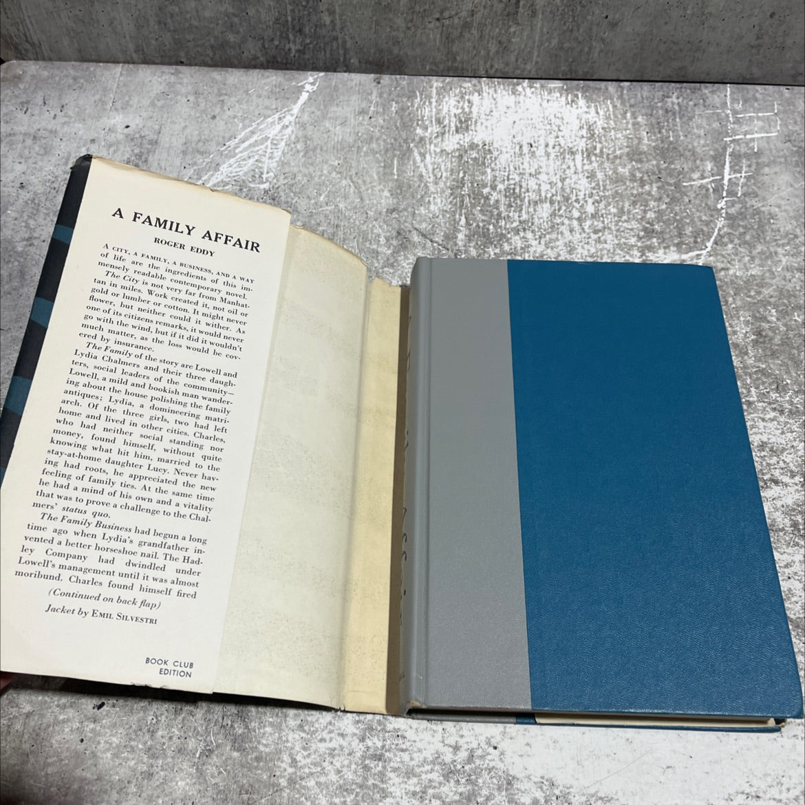 a family affair book, by roger eddy, 1958 Hardcover image 4