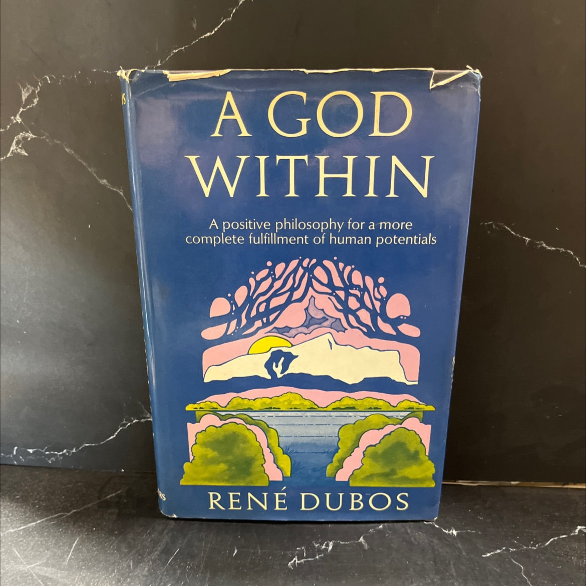 a god within book, by rené dubos, 1972 Hardcover image 1