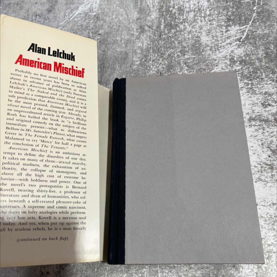 a mischief book, by alan lelchuk, 1973 Hardcover image 4