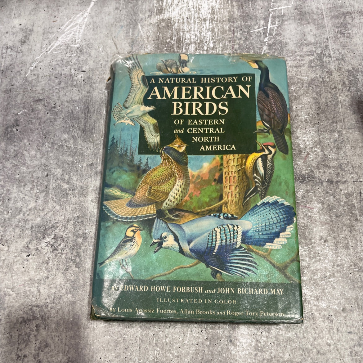a natural history of american birds of eastern and central north america book, by edward howe forbush, 1955 Hardcover image 1