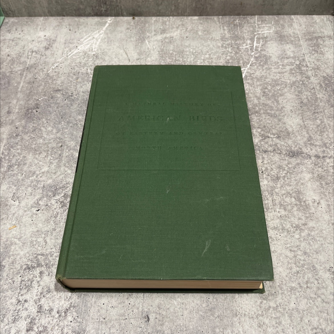 a natural history of american birds of eastern and central north america book, by edward howe forbush, 1955 Hardcover image 1