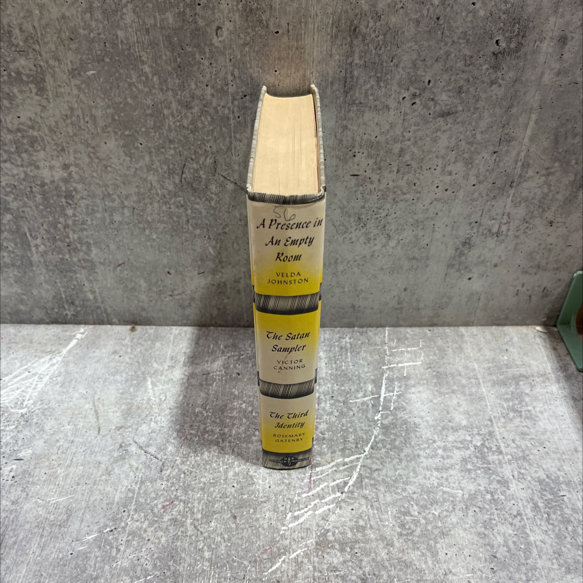 a presence in an empty room book, by velda johnston, 1980 Hardcover image 4