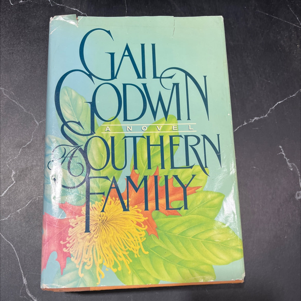 a southern family book, by gail godwin, 1987 Hardcover image 1