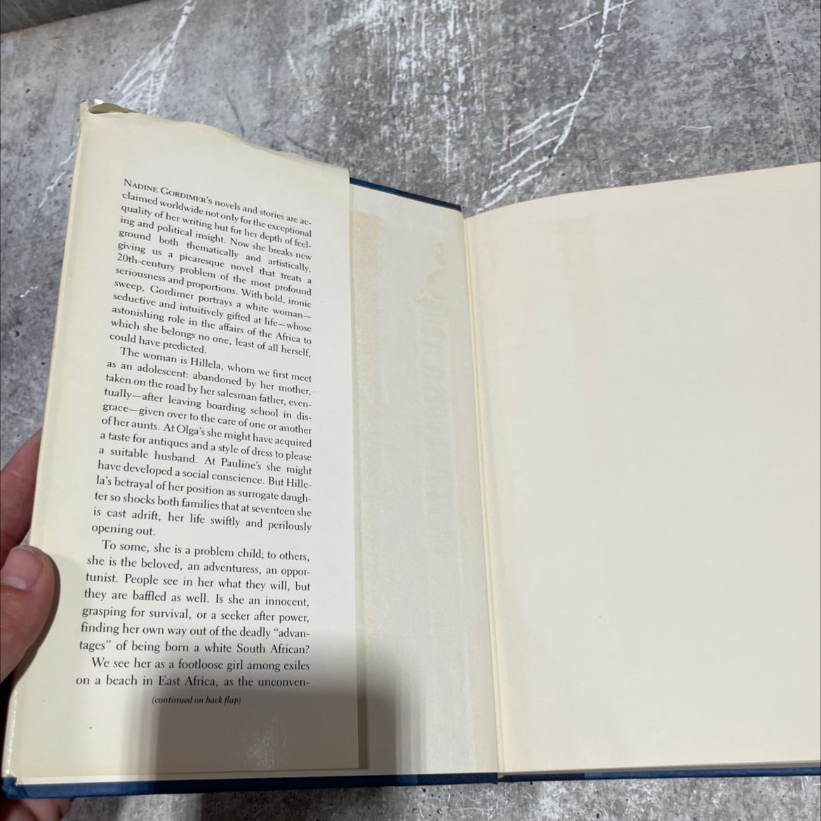 a sport of nature book, by nadine gordimer, 1987 Hardcover image 4