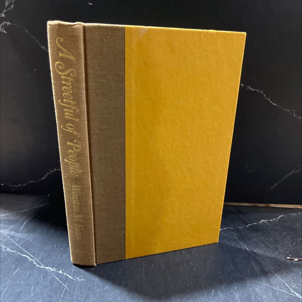 SIGNED a streetful of people book, by winston m. estes, 1972 Hardcover image 1