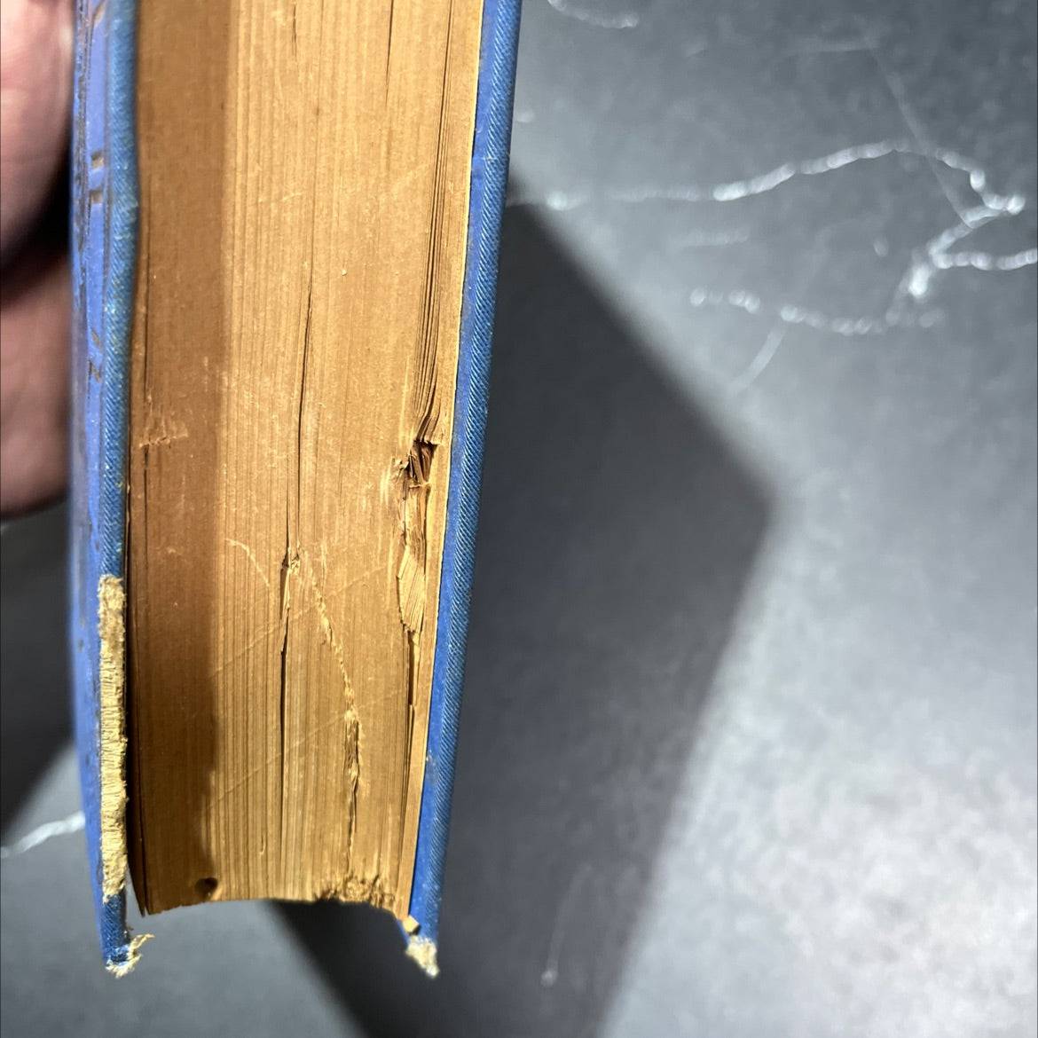 adventures of don quixote de la mancha book, by miguel de cervantes saavedra, 1970 Hardcover, Heavily Used image 4