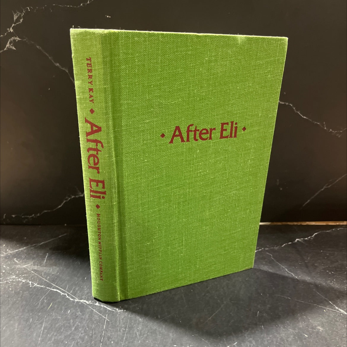 after eli book, by terry kay, 1981 Hardcover image 1