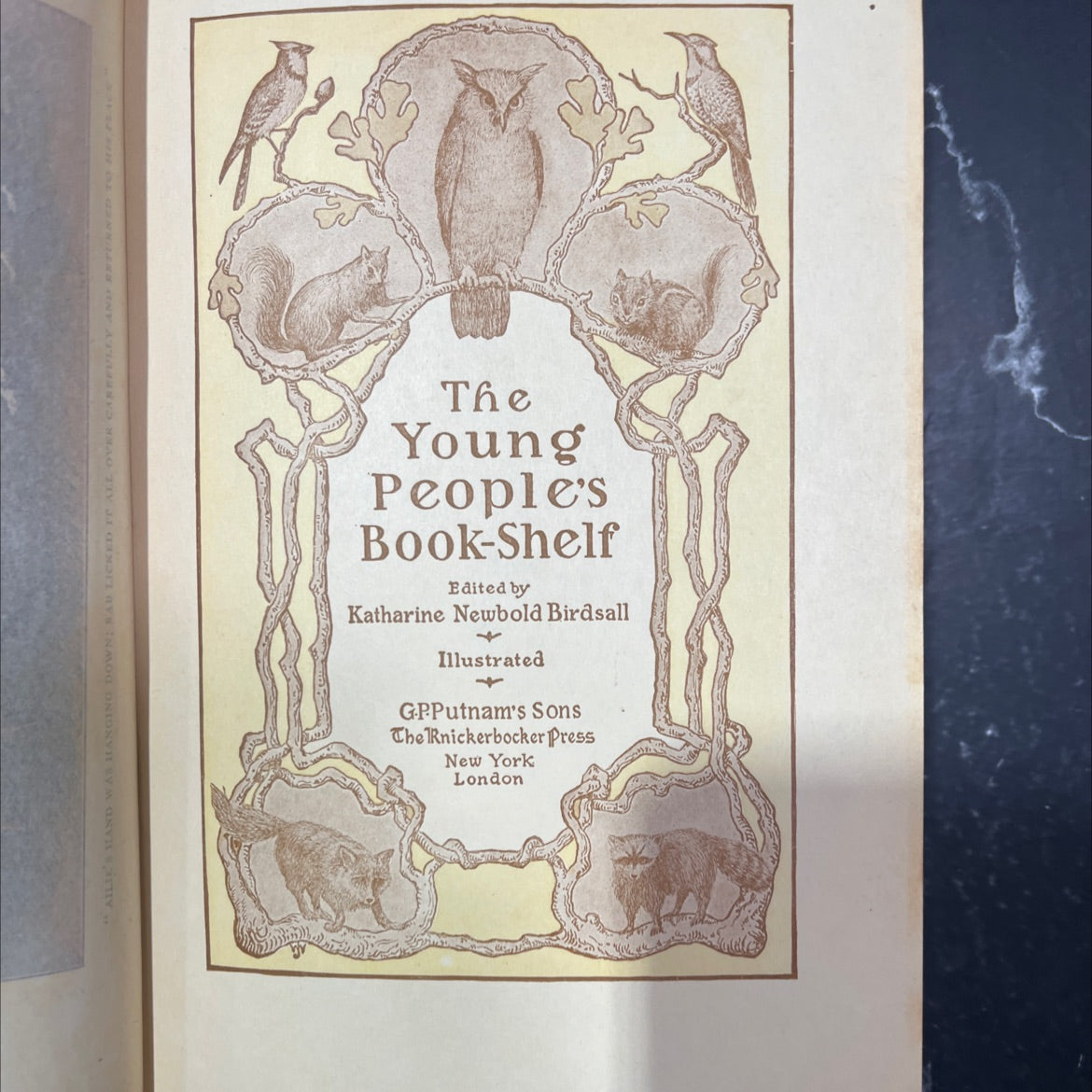 ailie's hand was t book, by unknown, 1970 Hardcover image 2