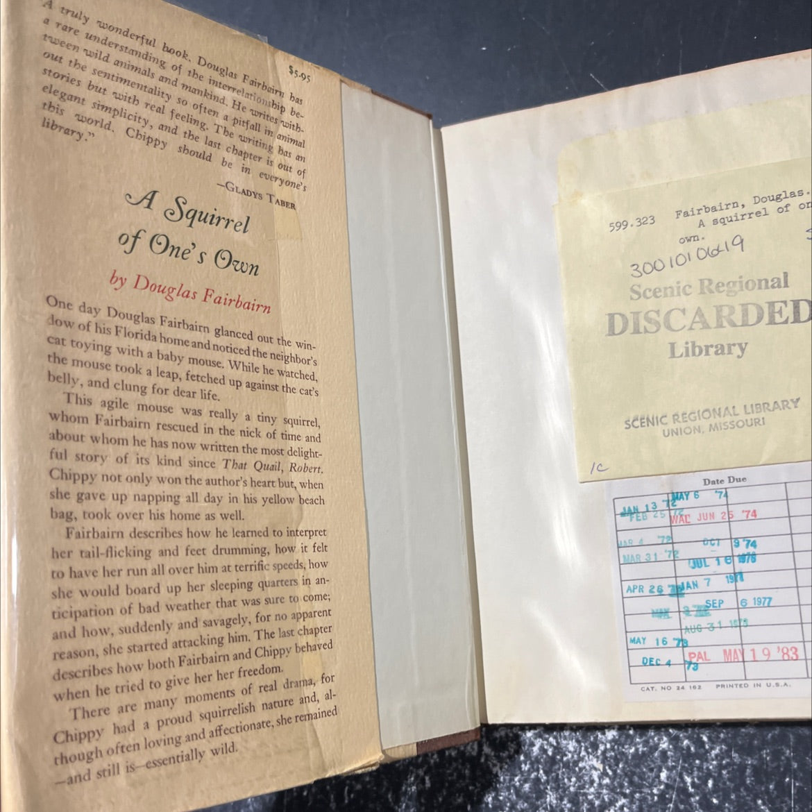 airbairn a squirrel of one's own book, by Douglas Fairbairn, 1971 Hardcover image 4