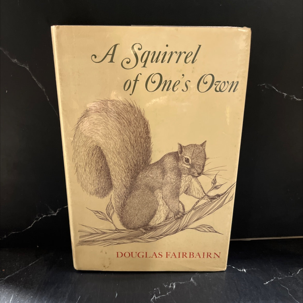airbairn a squirrel of one's own book, by Douglas Fairbairn, 1971 Hardcover image 1