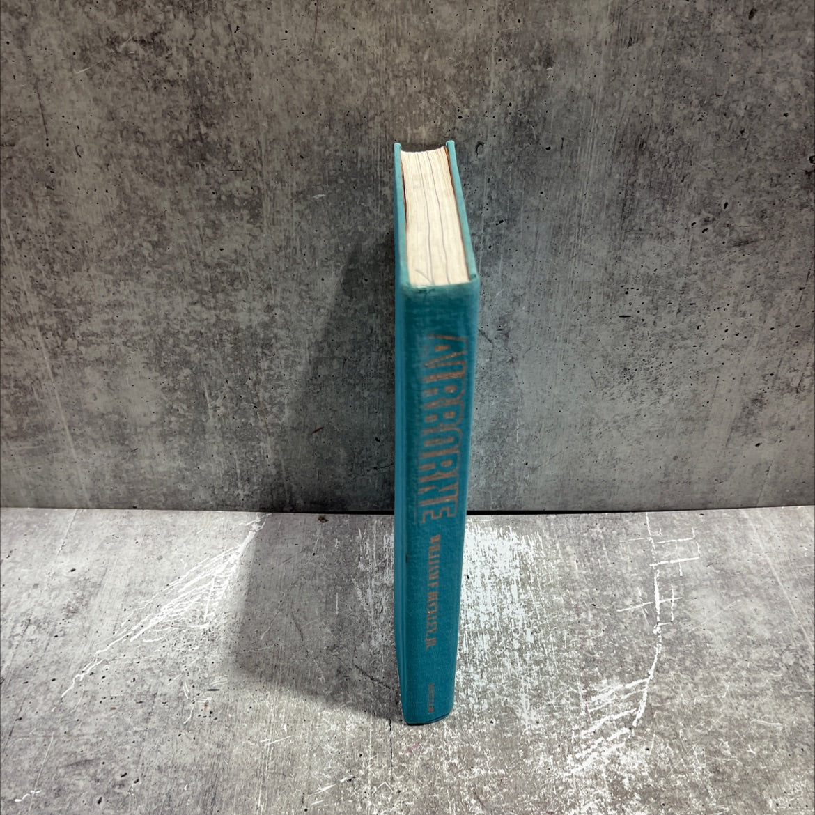 airborne a sentimental journey book, by william f. buckley, jr., 1976 Hardcover image 4