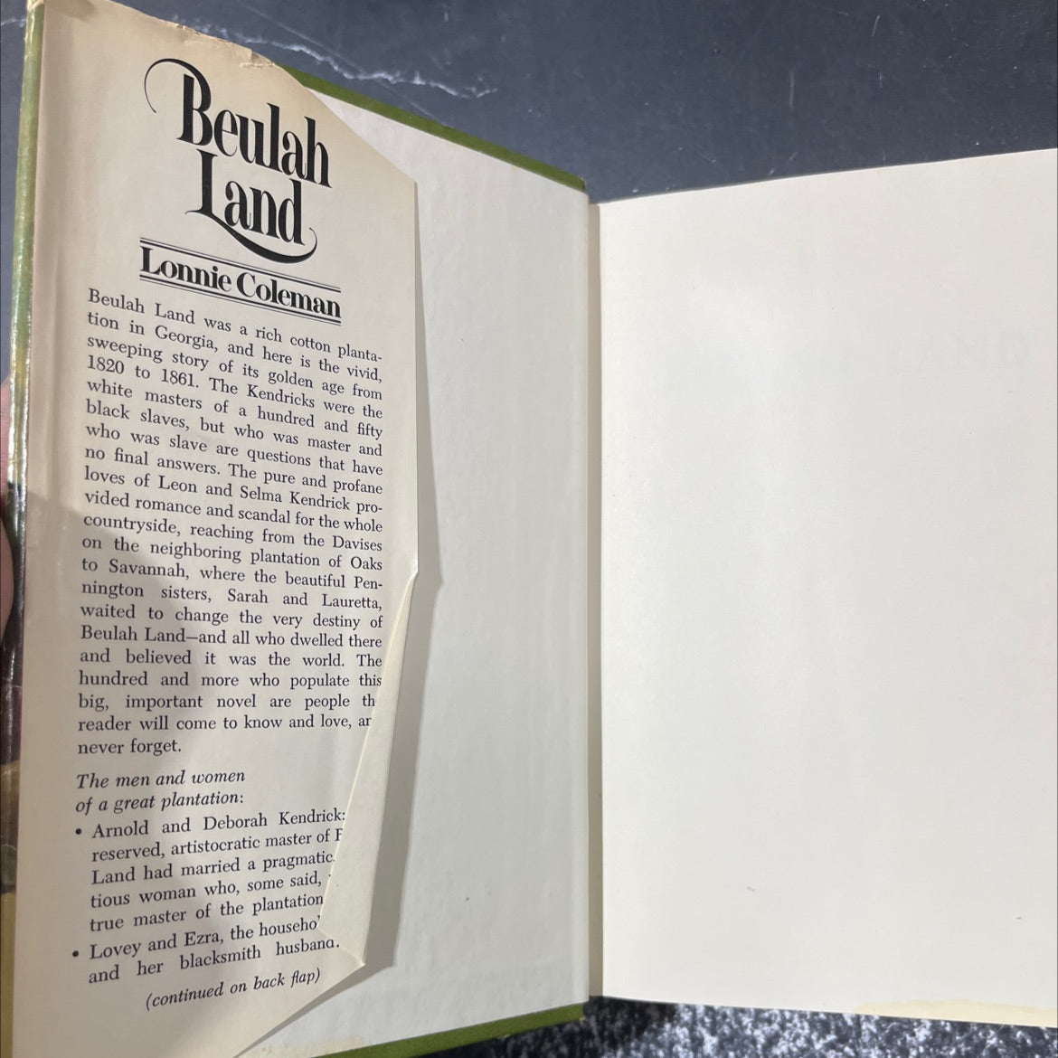 ajder beulah land book, by lonnie coleman, 1973 Hardcover image 4