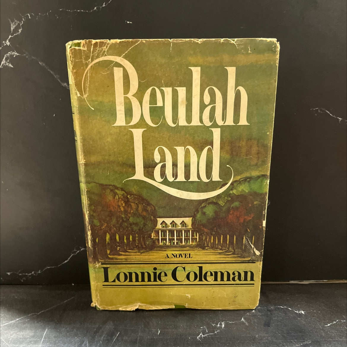 ajder beulah land book, by lonnie coleman, 1973 Hardcover image 1