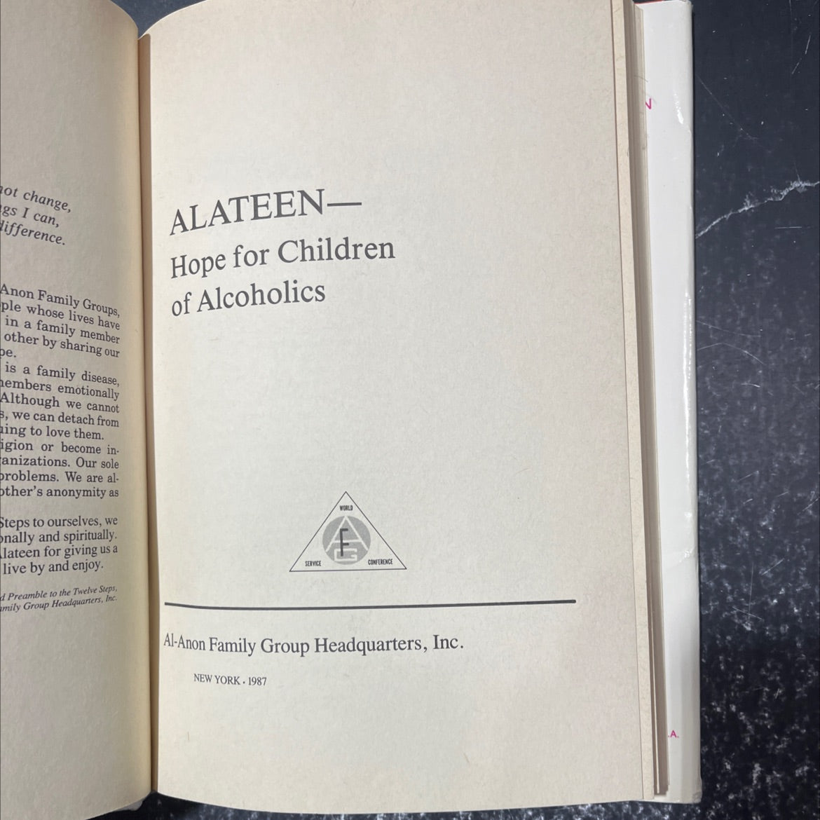 alateen hope for children of alcoholics book, by Anon, 1987 Hardcover image 2