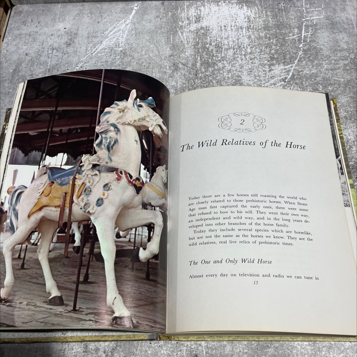 all about horses book, by marguerite henry, 1967 Hardcover image 4