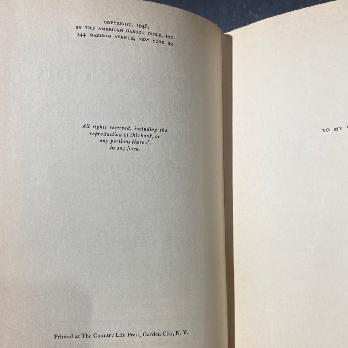 all about house plants their selection culture and propagation and how best to use them for decorative effect book, by image 3